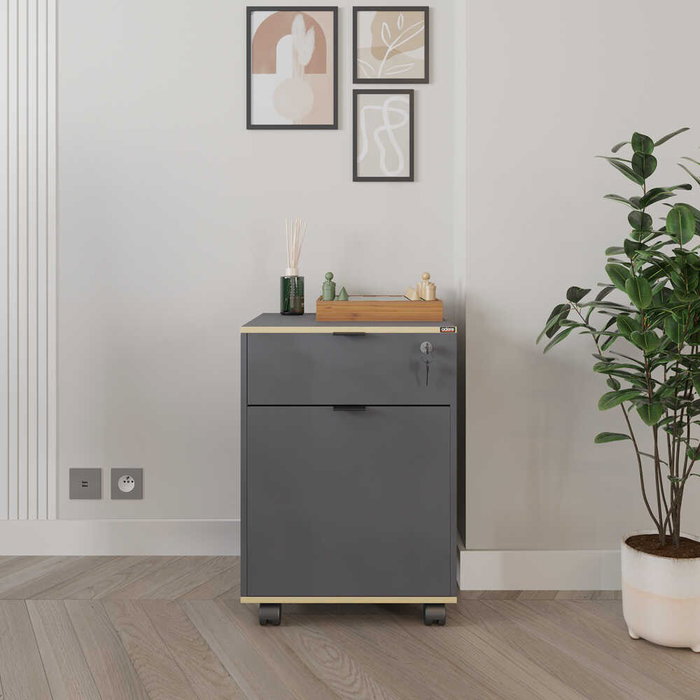 Hanah Home Rkm-311-Ax-1 Armario Multiusos Antracita y Roble
